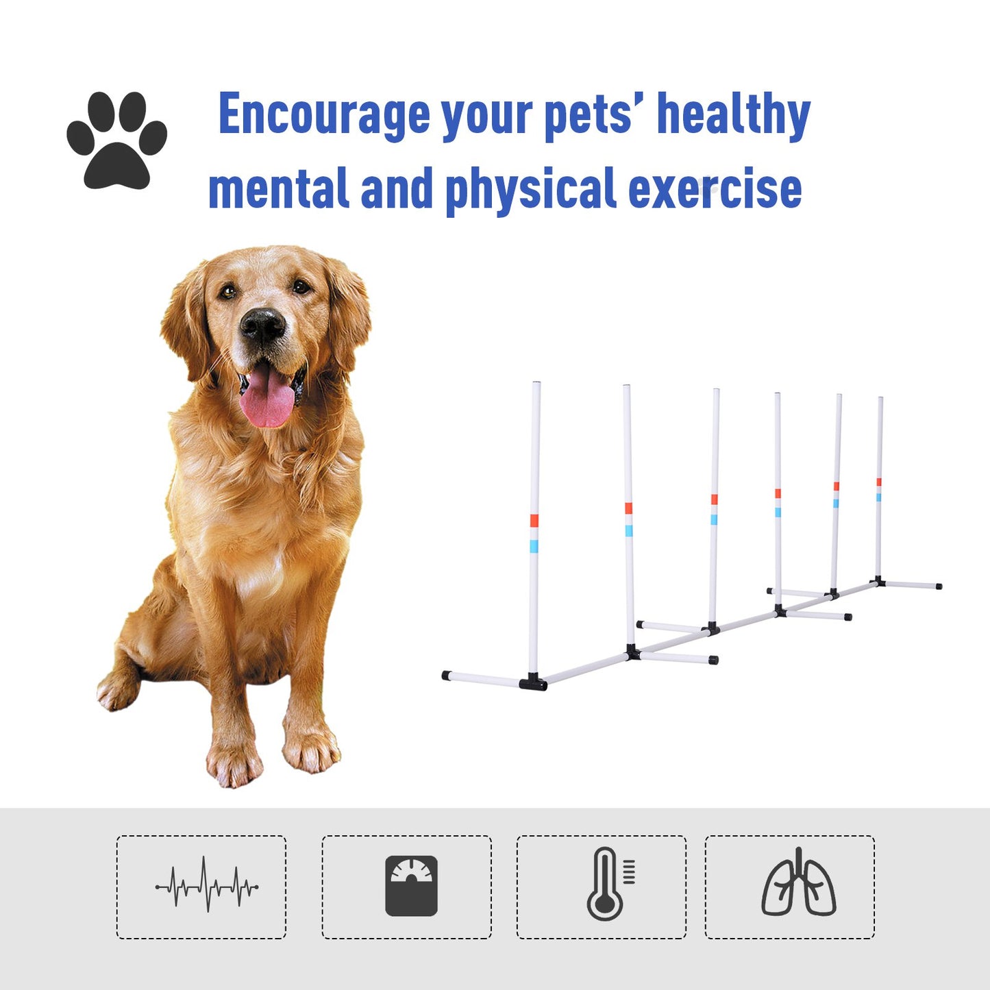 Sturdy Dog Weaves Poles Pet Speed and Agility Equipment Dogs Obstacle Outdoor w/ Storage Bag